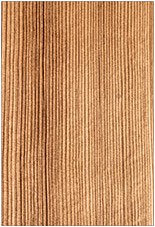 Wire Brush Medium