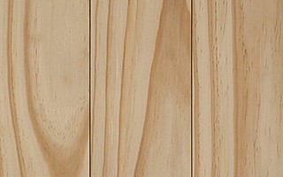 Accoya