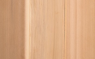 CEDAR