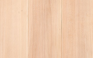 HEMLOCK